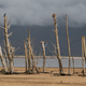 Cape Town has about 100 days of water left due to drought, despite water restrictions